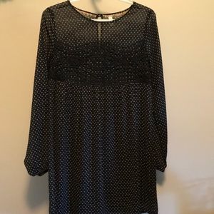 Black lace Polka Dot Dress